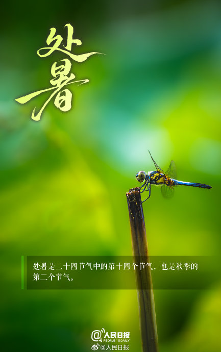 今日处暑，不懂这些讲究秋天要吃亏