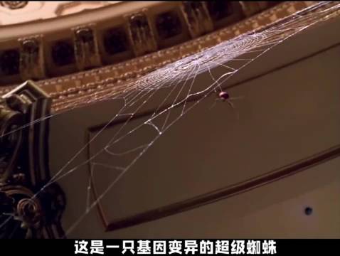 意外被变异蜘蛛咬伤，平凡少年迎来命运的转折，超级英雄就此诞生