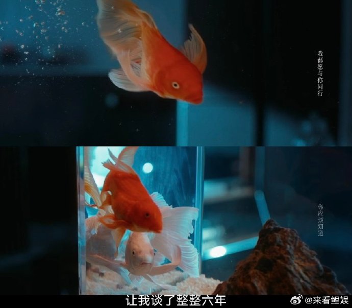 早春晴朗预告1分钟亲13次,成年人爱情天花板 早春晴朗预告1分钟亲13次,成年人爱情天花板