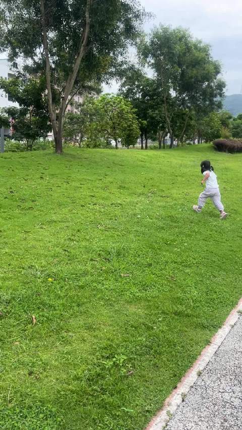 看到小鸟就想去抓一只回家
