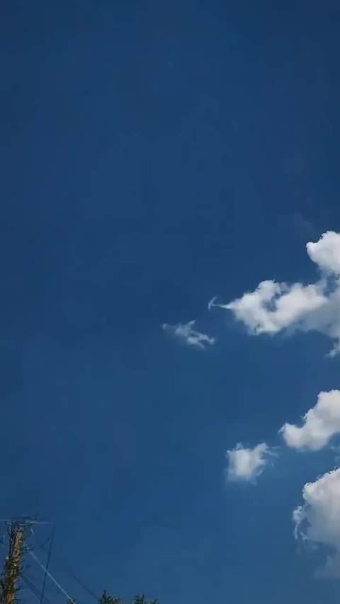 杨幂刘涛等明星发文谈男人立足社会之道