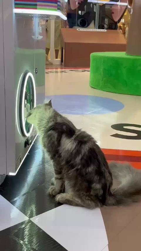 实拍第一拆家现场