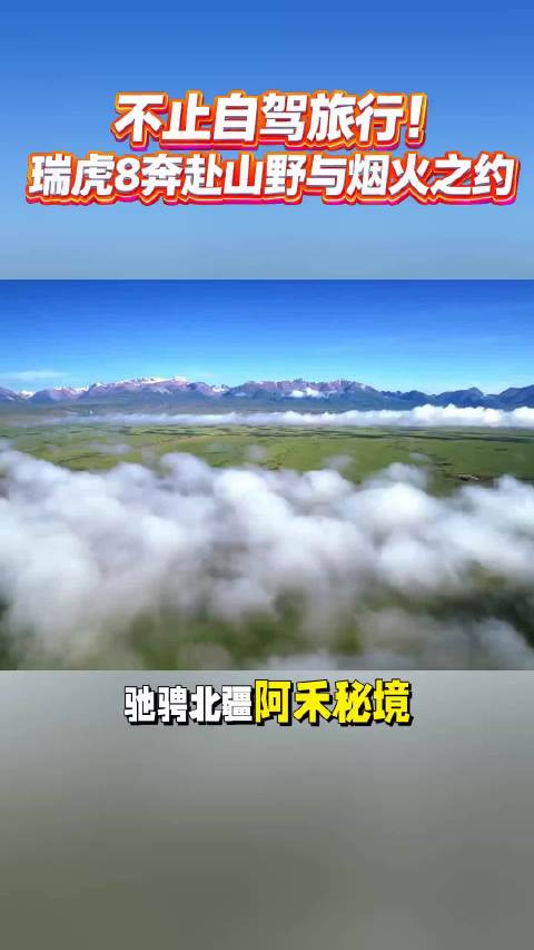 冠军同源硬核底盘，轻松拿捏复杂路况