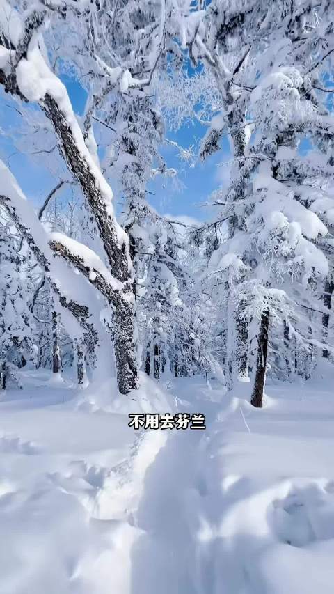 《阿凡达》悬浮山李白瀑布等奇观真实存在