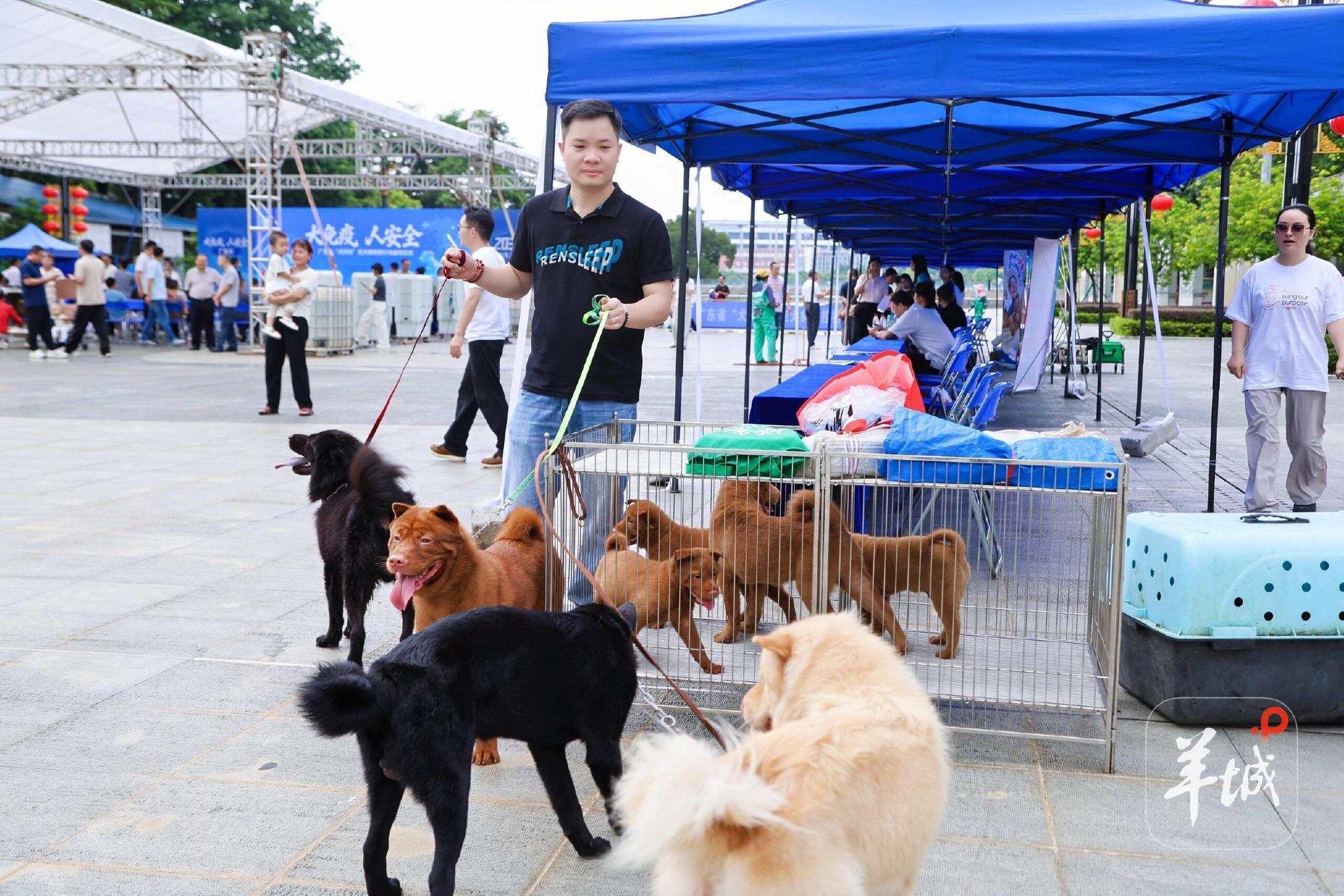 李公明:严格执行公共场所的宠物管理规定 李公明:严格执行公共场所的宠物管理规定