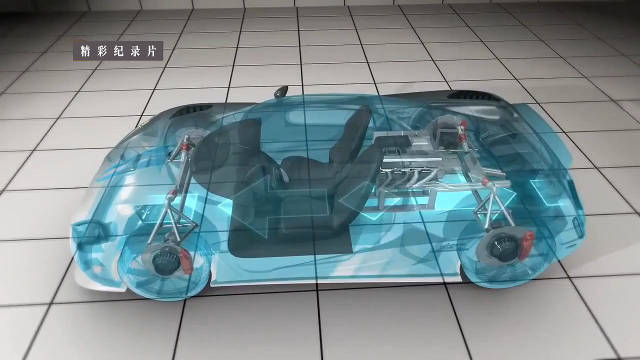 猛兽的内脏与外形 The Guts and Shape of the Beast 纪录片品鉴团