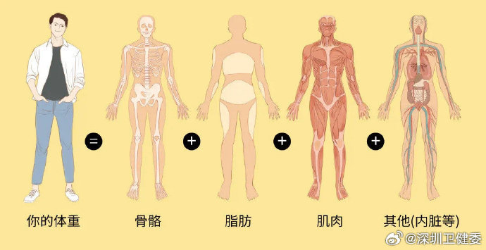 女性体脂率过低会导致闭经吗? 女性体脂率过低会导致闭经吗?
