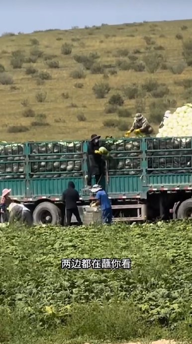 白菜上的甲醛可以通过烹饪去除吗？