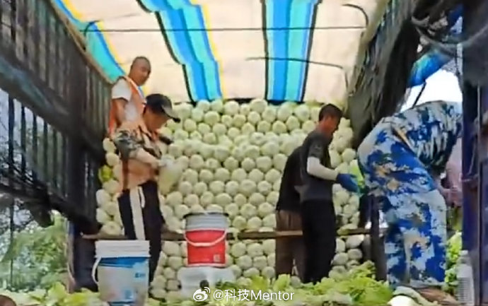 泡白菜中甲醛的来源有哪些? 泡白菜中甲醛的来源有哪些?