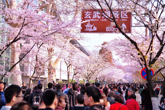 夏日文旅消费有哪些新潮玩法值得体验? 夏日文旅消费有哪些新潮玩法值得体验?