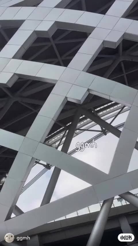 卧槽我哭了后来的我们