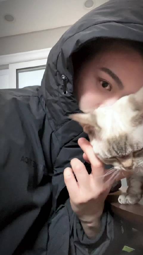 丁禹兮赵凌共赴蔷薇花开锦绣