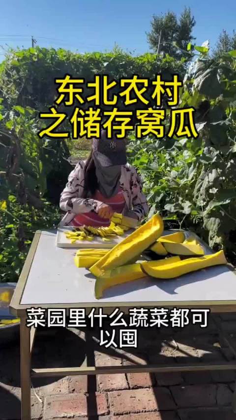 东北窝瓜， 话说，窝瓜，我只在红楼梦里听过（暴露了 ）