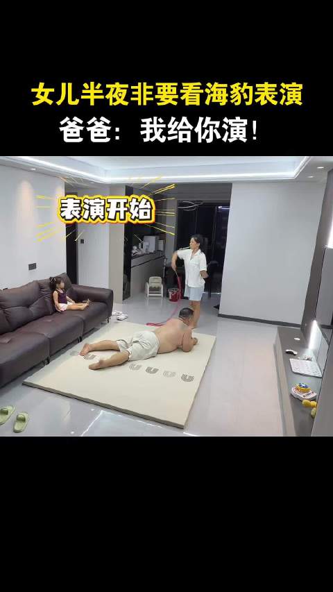 家里有个现成的海豹