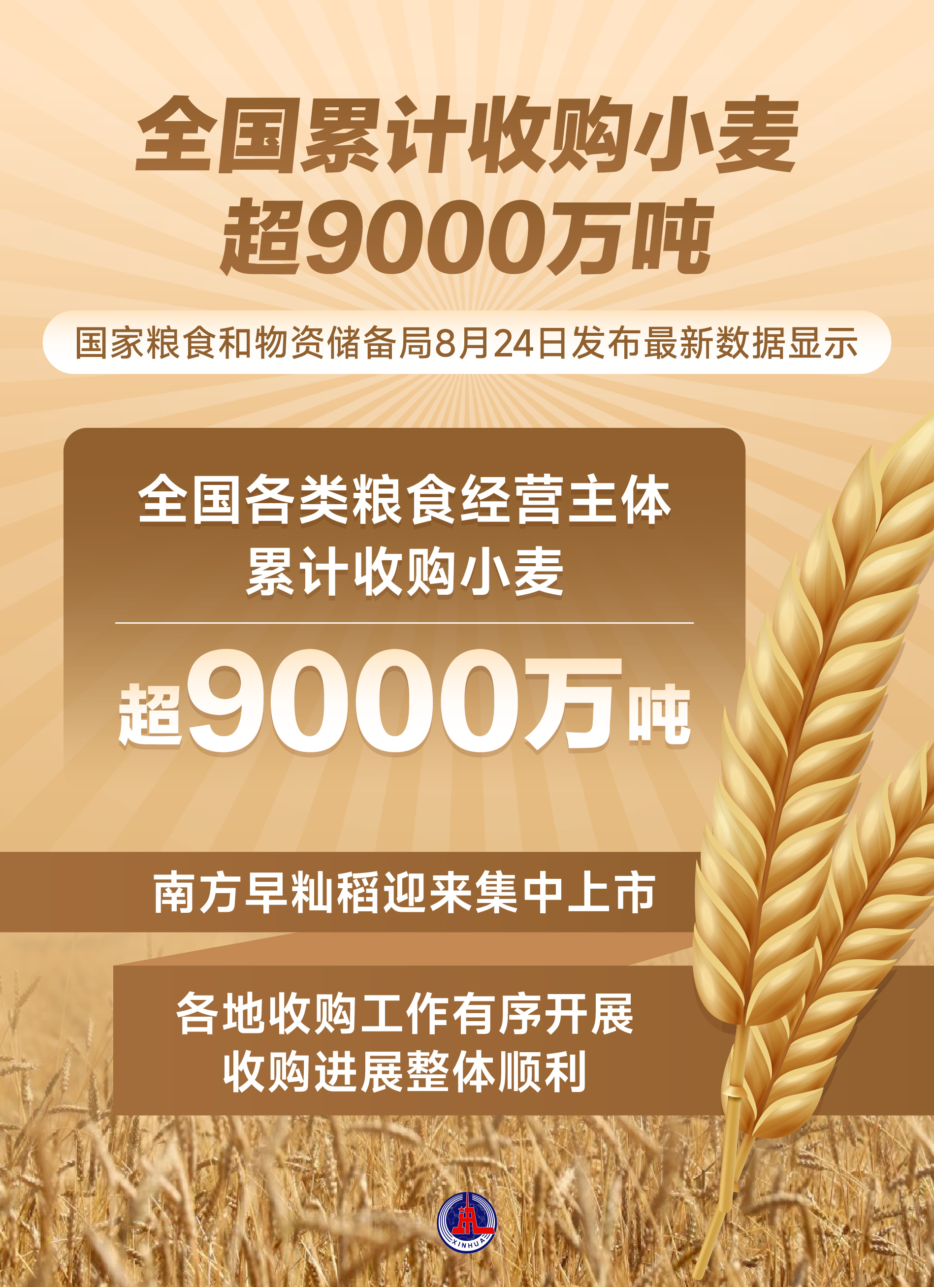 （图表）全国累计收购小麦超9000万吨