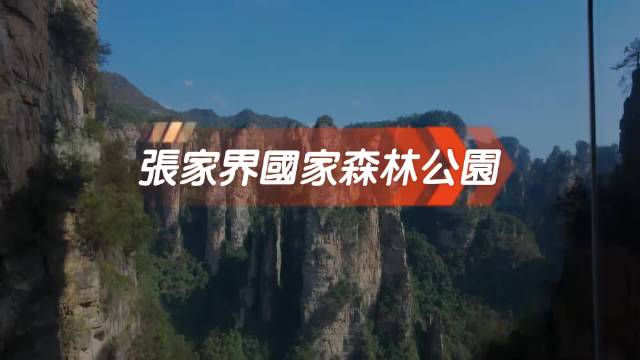 张家界砂岩峰林直入云海，阿凡达灵感地真实现身