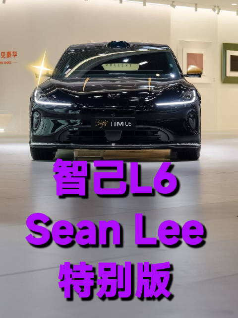 我在车展上发现一台很酷的车！