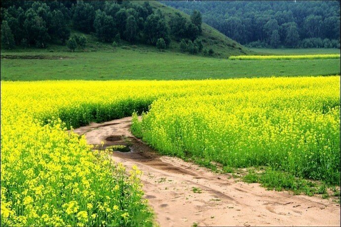 7月中旬去哪里玩好