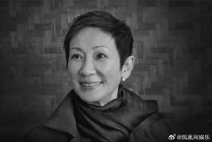 施南生为徐克的电影事业做了哪些贡献？
