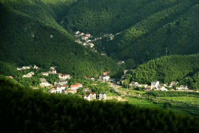 莫干山10天避暑