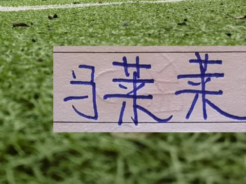 回归申花阿苏埃 本赛季各项赛事进球也是超越 大连英博马莱莱