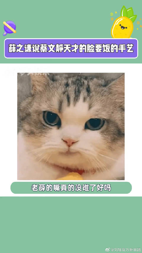 老薛话糙理不糙啊～薛之谦说蔡文静天才的脸要饭的手艺