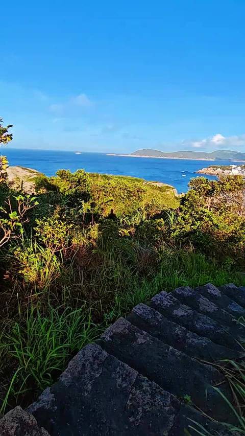 漫步东极岛，绿意蓝海间邂逅渔村烟火