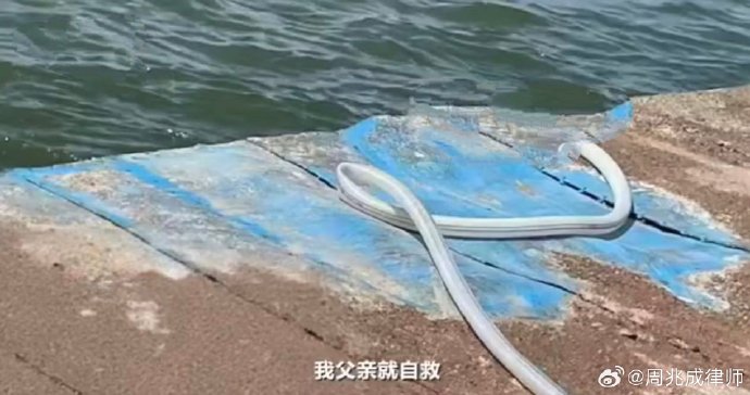 内河船舶碰撞事故的责任如何认定? 内河船舶碰撞事故的责任如何认定?