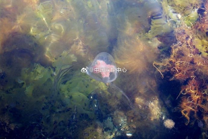 八月份去海边玩需要注意什么? 八月份去海边玩需要注意什么?