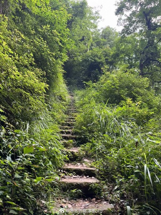 常华森徒步3小时心率170,普通人能完成吗 常华森徒步3小时心率170,普通人能完成吗