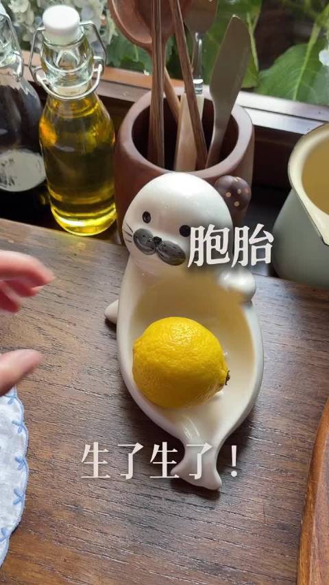 谁懂！柠檬奶冻配上海豹可爱翻倍‍ 请选出最善良的小海豹
