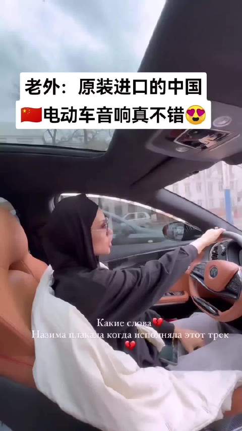 外国网友购比亚迪汉，满意音响音质跟唱