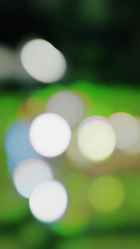 这是白驼山王子