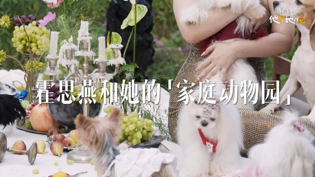 霍思燕的家里居然有个“动物园”，里面甚至还养了孔雀！