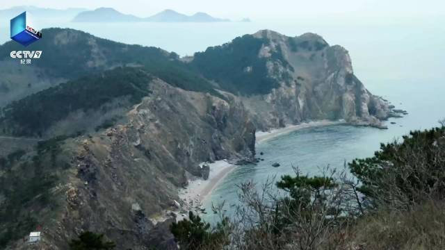 跨国候鸟隐藏的秘密