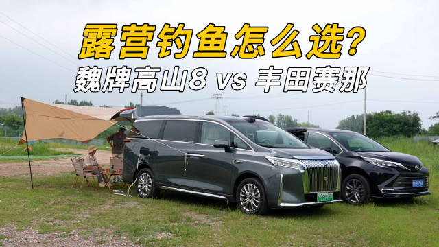 带爸妈钓鱼，魏牌高山8与丰田赛那对比，父亲空手而归