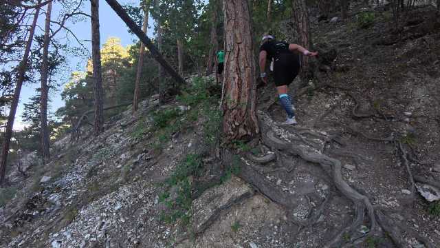 阿尔卑斯山越野，最艰难时最接近天空