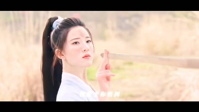 我收手你收剑 又或是 我折断它