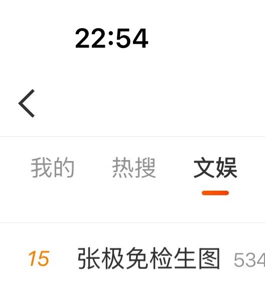 张极最近有哪些新造型的生图值得收藏？