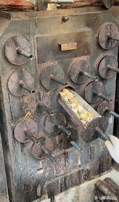 13元盒饭配烧烤盲盒,东北美食太实在了 13元盒饭配烧烤盲盒,东北美食太实在了