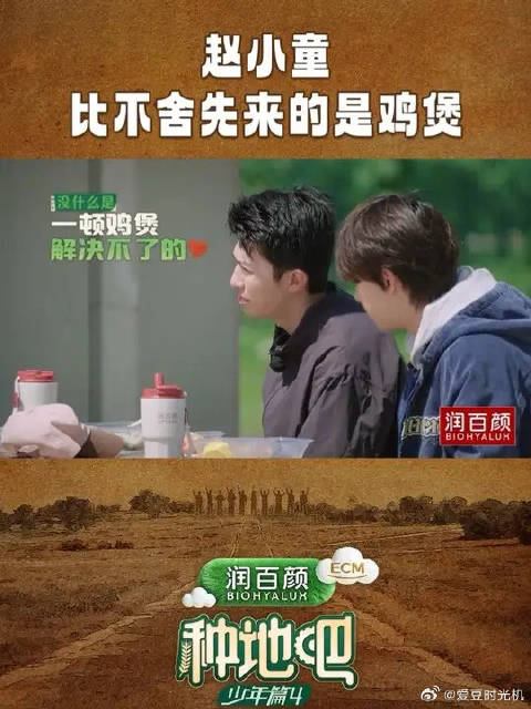 赵小童比不舍先来的是鸡煲