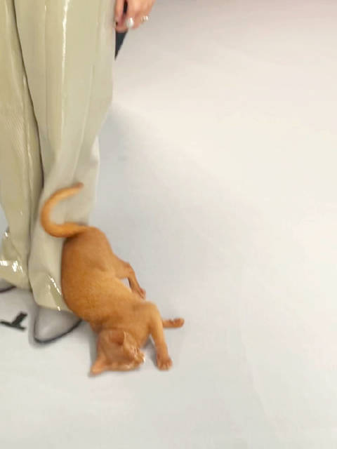 张真源 你最重要 张真源 live之神 世界不停转动 直到我们相逢
