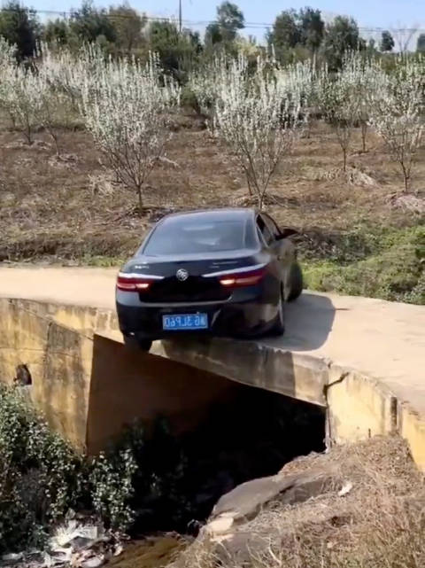 看完才知道什么叫真正的老司机