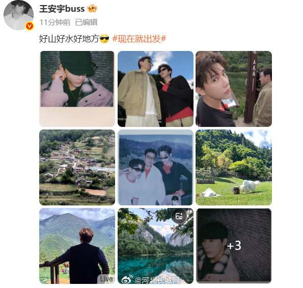 推荐一些王安宇和白敬亭的综艺 推荐一些王安宇和白敬亭的综艺
