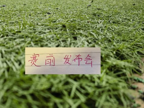 中超第25轮强队赛前发布会 只有申花带替补小将 北京国安是外援