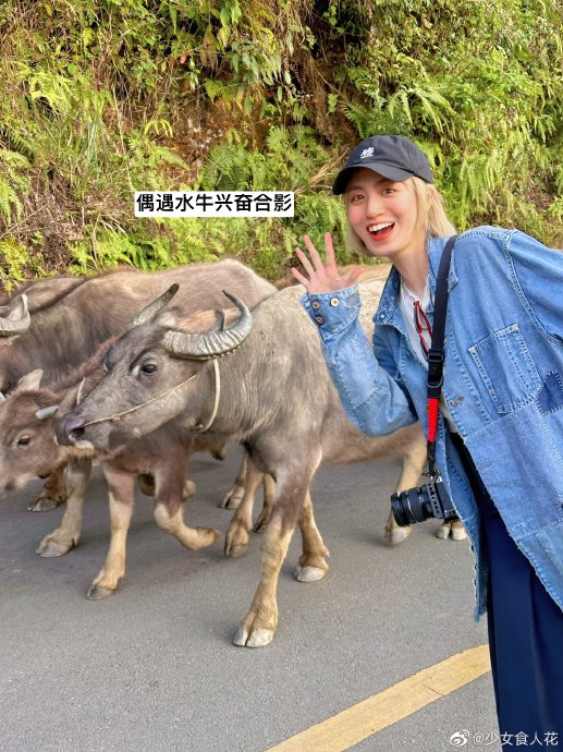 云南7天自驾最佳路线推荐 云南7天自驾最佳路线推荐