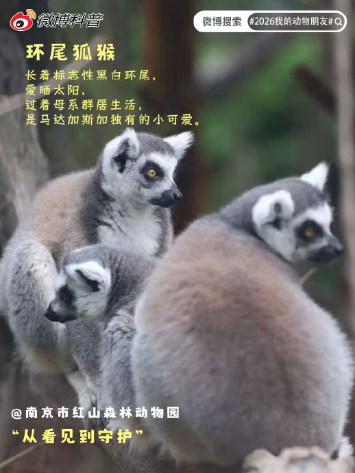 壁虎为什么被称为家居天然灭虫卫士？