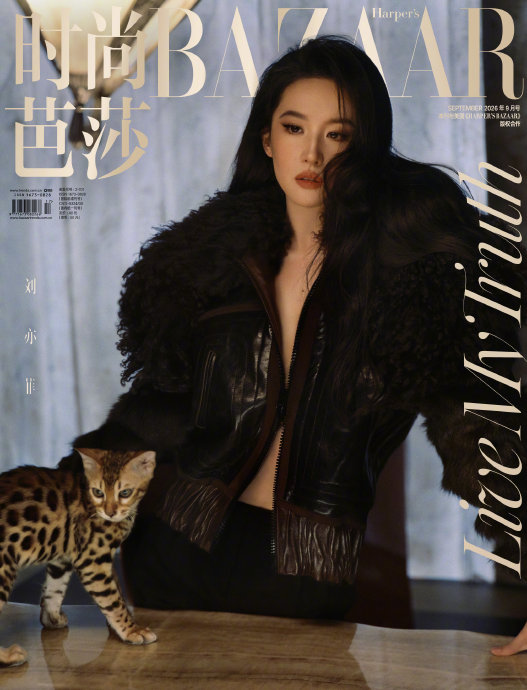 刘亦菲的金九封面造型用了哪些奢侈品牌？