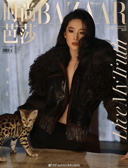 刘亦菲连续五年登金九封面意味着什么？