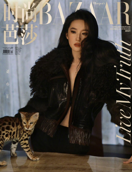 介绍一下《时尚芭莎》杂志
